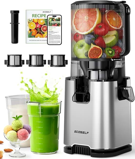 Cold Press Juicer with 3 Filters (For Juice/Sorbet/Nut Milk)